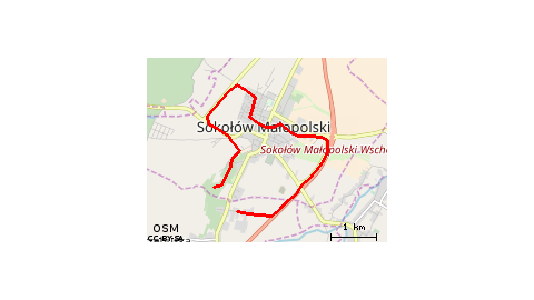 Trzebuska- Turza-Sokołów Młp.-Trzebuska