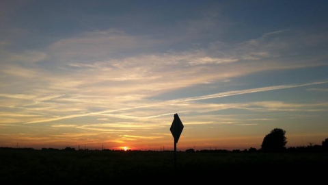 Michałowice Raszynka