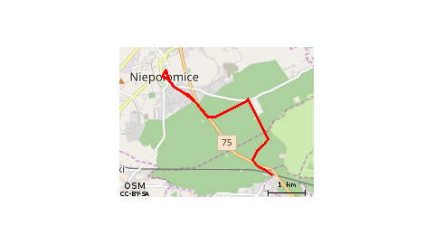 Puszcza Niepołomicka