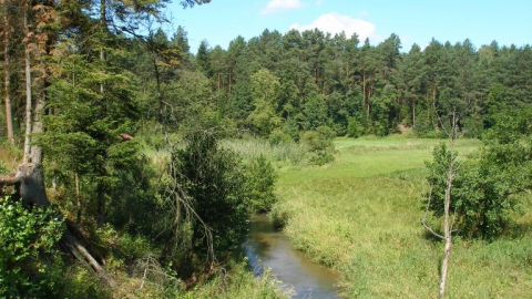 SZLAK (Czerwony)  BIAŁA ŁADA 