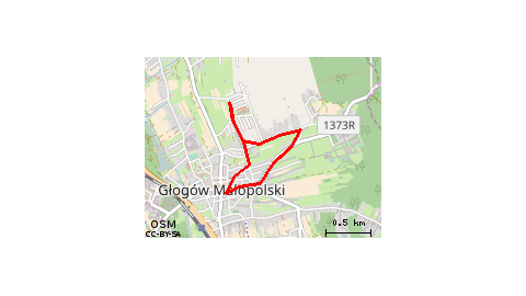 Trening, Testowanie  Nowej Aplikacji