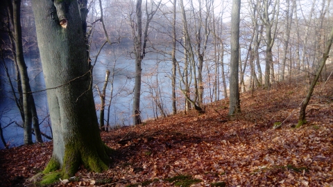 14.05.2019 Santocko Azyl