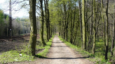19.04.2018  Świdnica - Milikowice - Świebodzice - Dalej szlakiem żółtym rowerowym ( K - 1 ) aż do Świdnicy