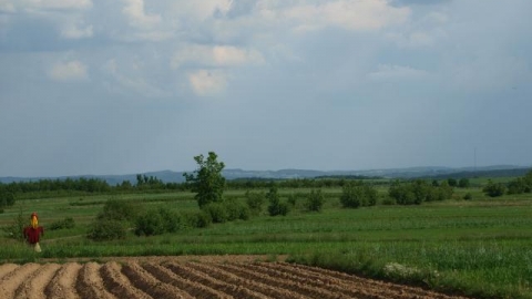 Rzeszów - Magdalenka - Husów