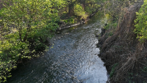 Chorzów Srebrne Stawy Chorzów 21.04.2018 16:55