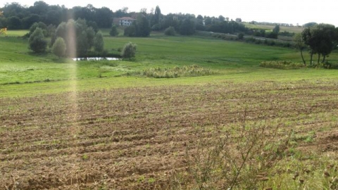 Gniezno - Jankowo Dolne