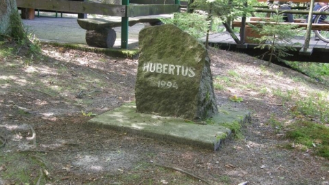 Hubertus