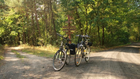 Modlin - Kampinoski PN - Warszawa