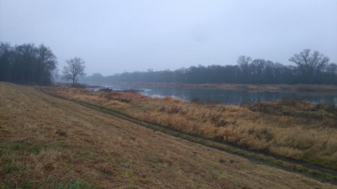 Głogów - Rybaczówka (wałem wzdłuż Odry)