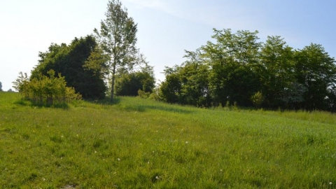 Siedliszcze-Wola Korybutowa-Siedliszcze