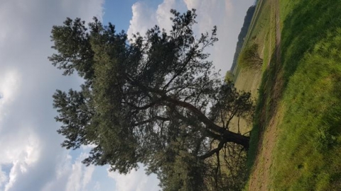 Trasa Rowerowa Po Okolicy Młoty Orzeszków