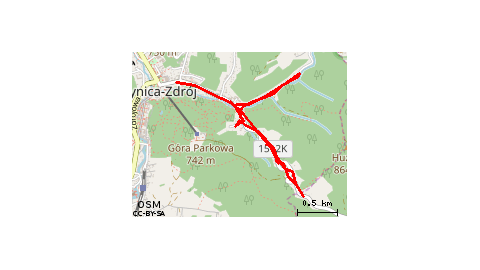 Pułaskiego Roma Andersa Zieleniewskiego