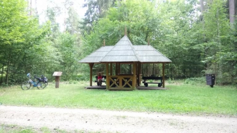 Puszcza Białowieska