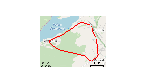 Boszkowo-Letnisko - Włoszakowice - Dominice - Boszkowo-Letnisko 