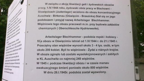 Ujazd - Stara Kuźnia - Kędzierzyn-Koźle