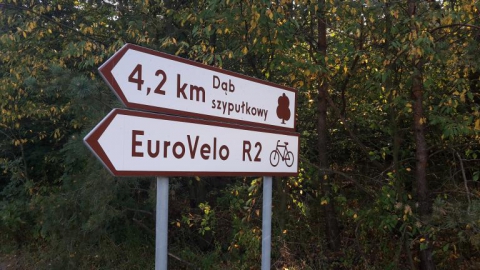 sochaczew, Młodzieszyn, Iłów, Kamion....