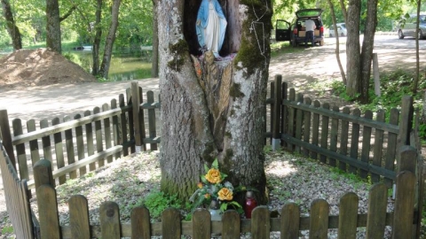 Augustów -J. Płaskie