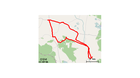 Szczurowa Rudy Rysie