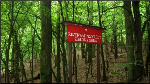 Wyrzysk - Osiek - Glesno - Wyrzysk