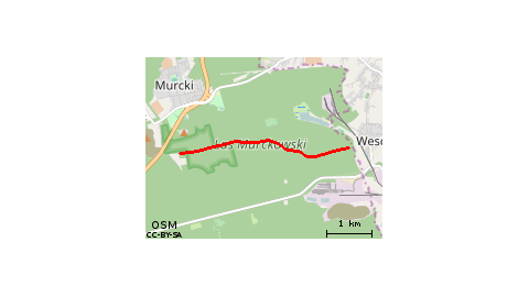 Długi kierz (fragment)