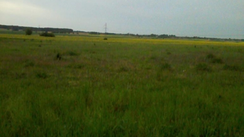 dom-żwirka-cegielnia-dom