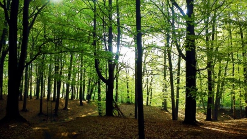 katowice - mysłowice - katowice