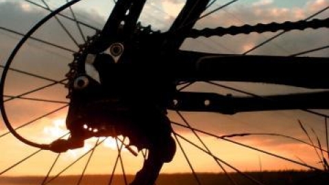 Leśne zakamarki Jaworzna