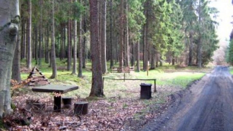 Pętla Koszalin - Sianów - Rekowo- Lubiatowo