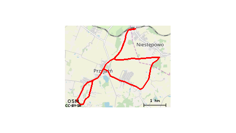 SP - Mankocin - Przyjaźń - Skrzeszewo - SP 