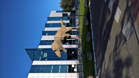 Będzin Targowisko - Radio Katowice SA