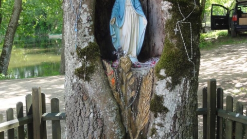 J Płaskie- Wigry -J. Muliczne