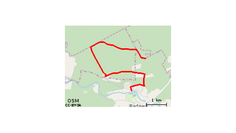 Las_2_radawa-17.08.2017 13:17