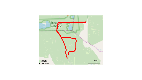 Bratkowice 30.06.2019 10:47