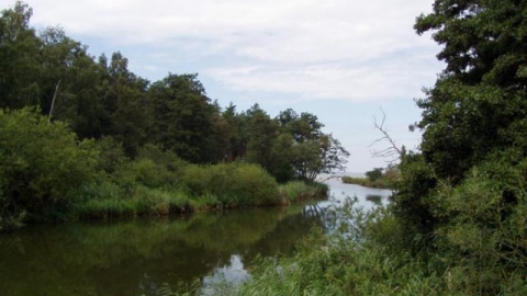 Koszalin - Dąbki - Dąbkowice - Dąbki - Koszalin