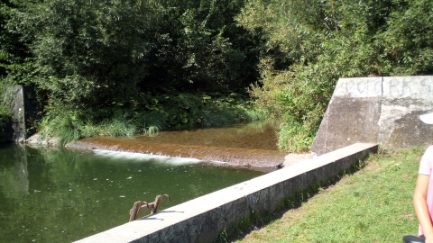 Leśna Żywiec Leśna