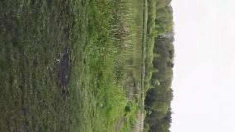 Lublin - Kozłowiecki PK - Lublin