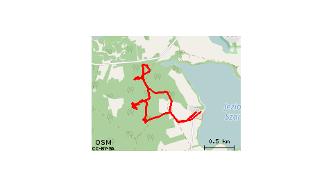 2017.07.29 - Pszczew: grzybobranie