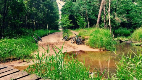 Wojkowice - Zalew Zielona - Wojkowice