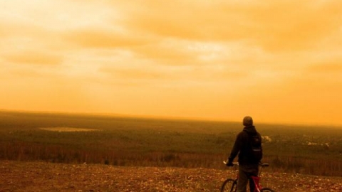 Dąbrowa Górnicza Pustynia Błędowska - Pogoria IV - Park Zielona