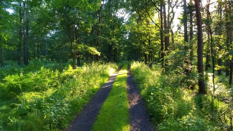 Centrum-Giszowiec-Murcki