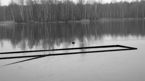 Do Balatonu w Sosnowcu