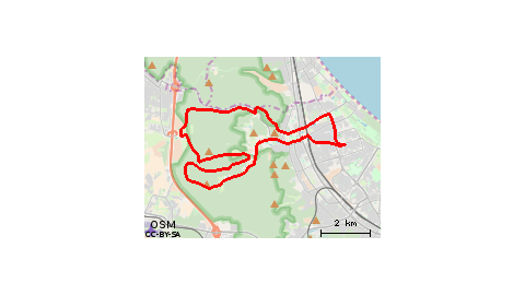 Przymorze-lasy-Przymorze