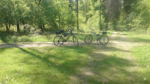 Walce - Brzezina - Swornica