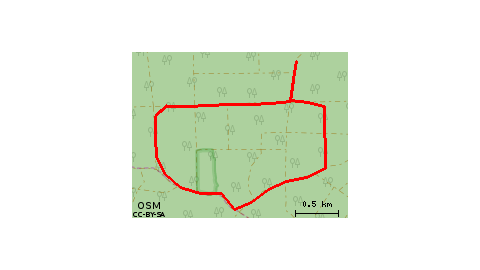 Leśny Spacerek 14072019