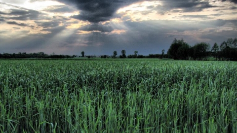 Krośniewice-Szczecin-Krośniewice