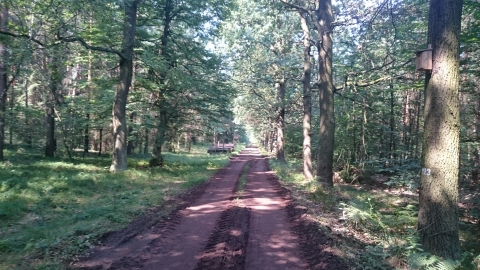 Rudy - Nędza - Rezerwat Łężczok - Racibórz -  Zakole Odry I Przeprawa Promowa - Ciechowice - Tuże - Kuźnia Raciborska - Kompleks Leśny Rudy Z Kaplicą Św Magdaleny - Rudy