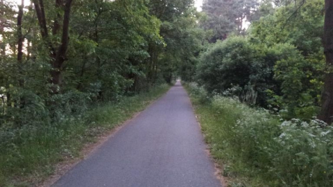 On the trail of the narrow-gauge railway Gościno-Karlino