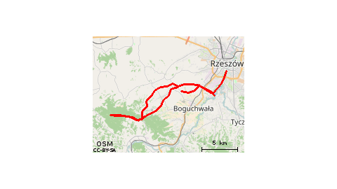 6.06.2014 r. - Planty - Las