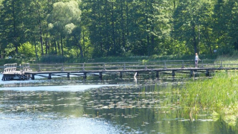 Cheremcha - Bialowieza