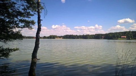 Podlesiec - Szamotuły